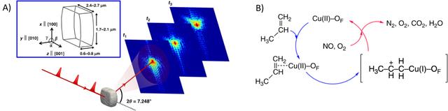 [Figure 15]