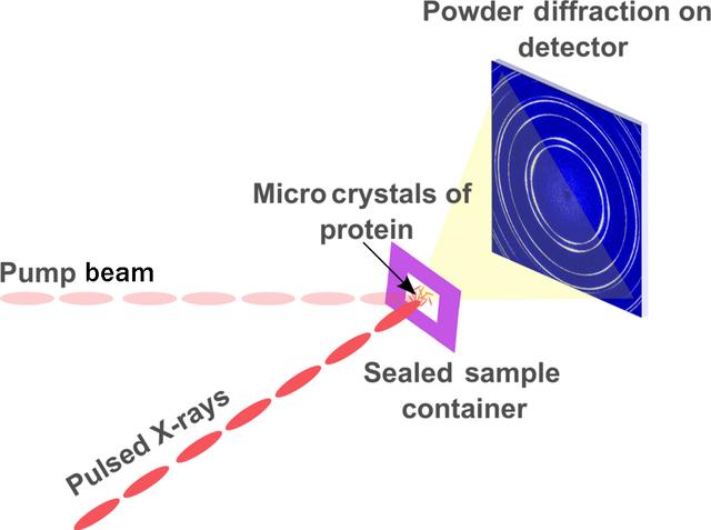 [Figure 3]