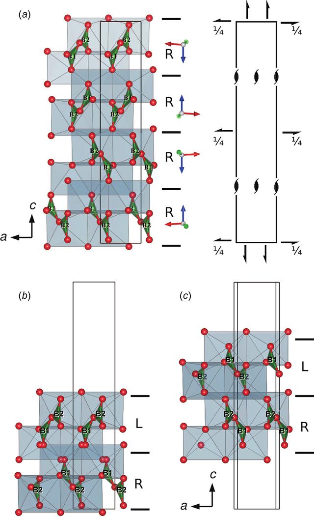 [Figure 12]