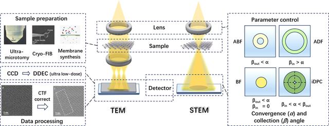 [Figure 1]