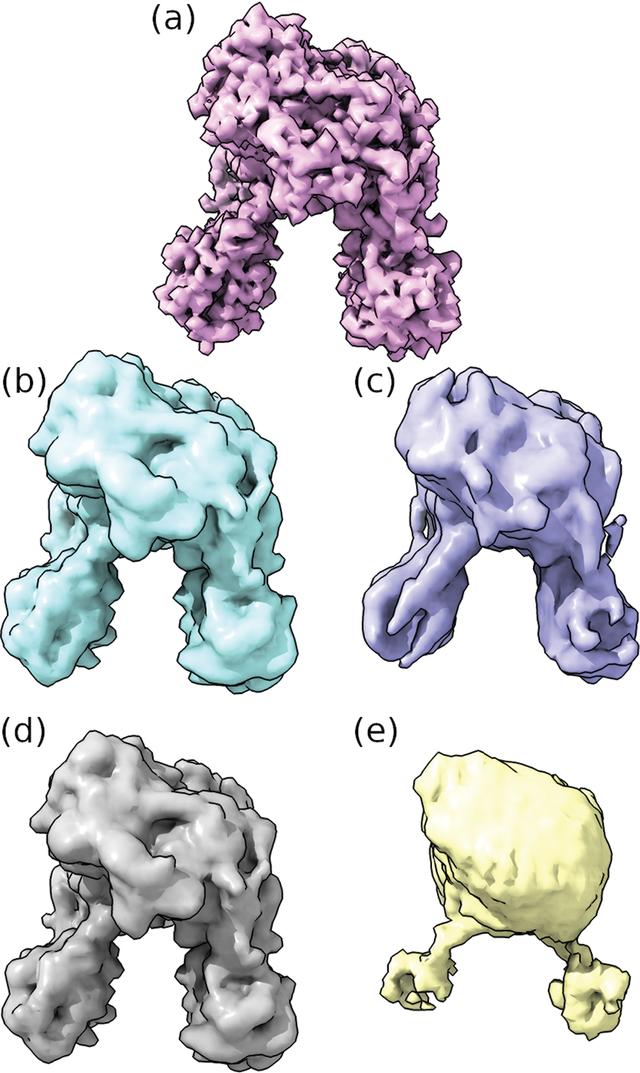 [Figure 4]