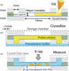 [Figure 3]