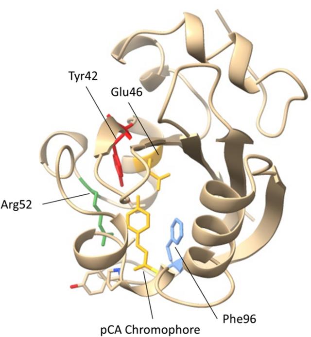 [Figure 9]