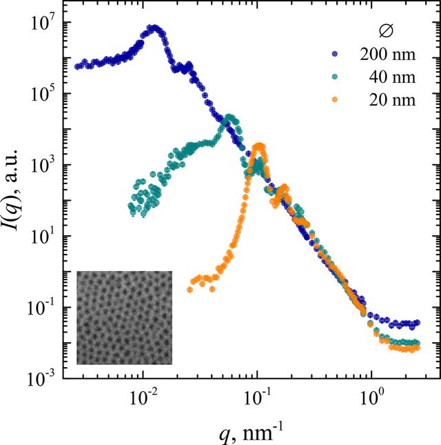 [Figure 5]