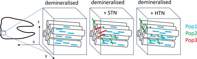 [Figure 10]