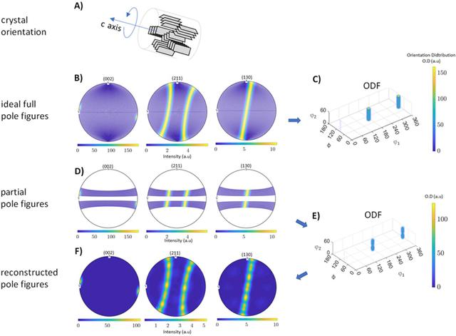 [Figure 5]