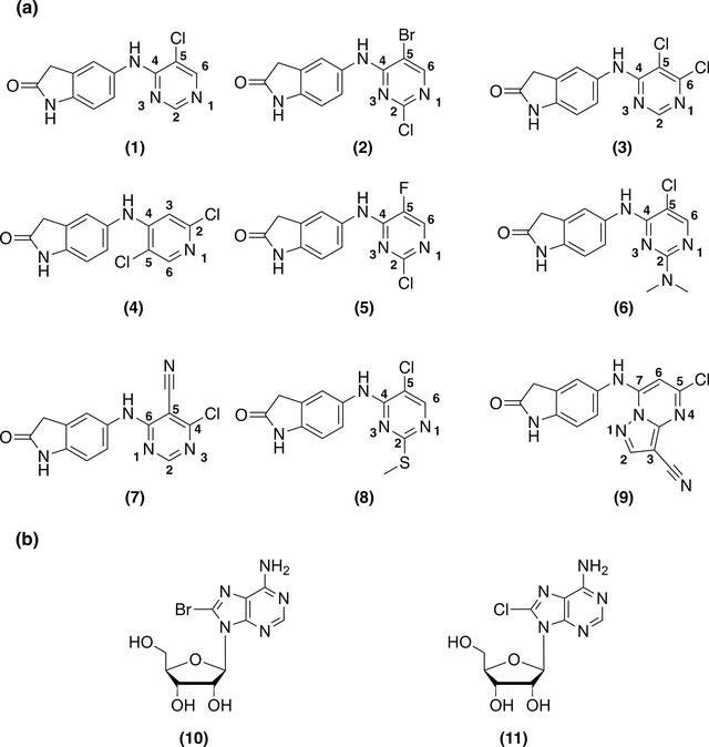 [Figure 1]