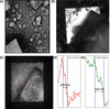 [Figure 4]