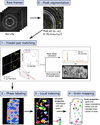 [Figure 1]