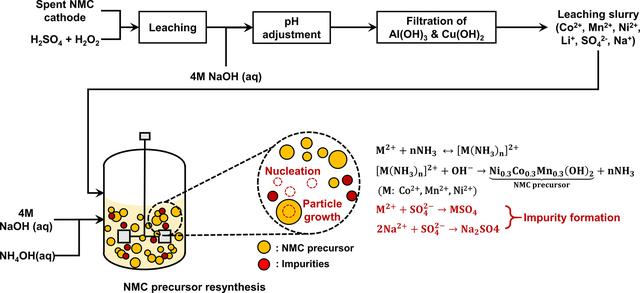 [Figure 1]