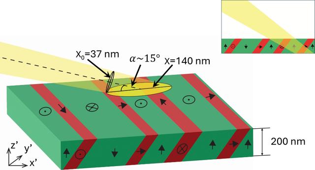 [Figure 6]