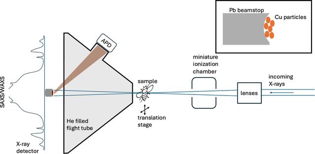 [Figure 1]