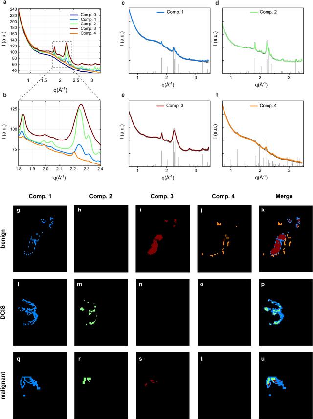 [Figure 1]