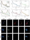 [Figure 1]