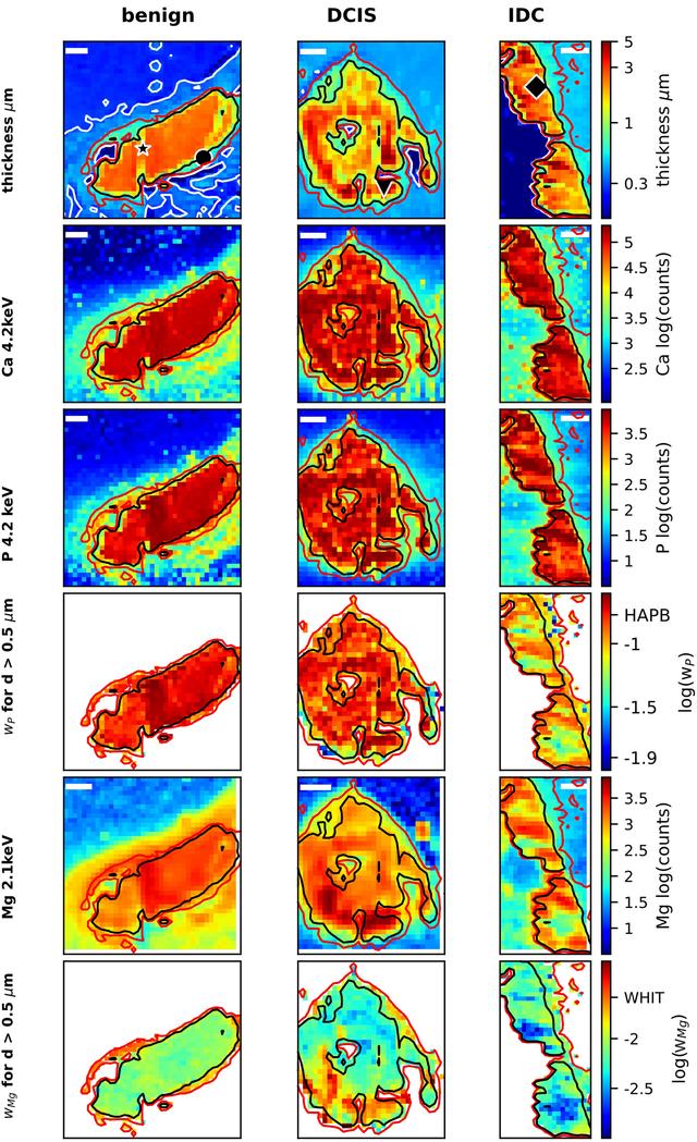 [Figure 2]