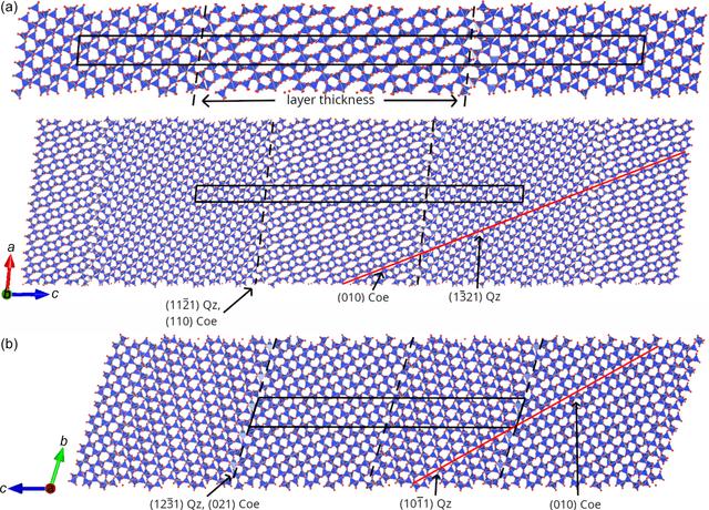 [Figure 1]