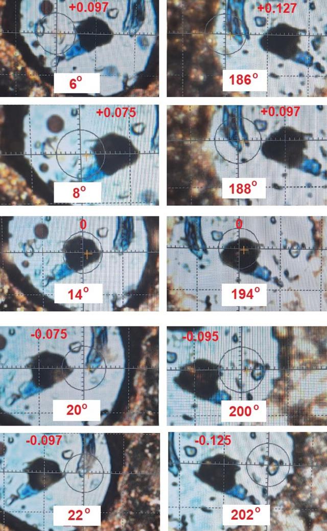 [Figure 5]