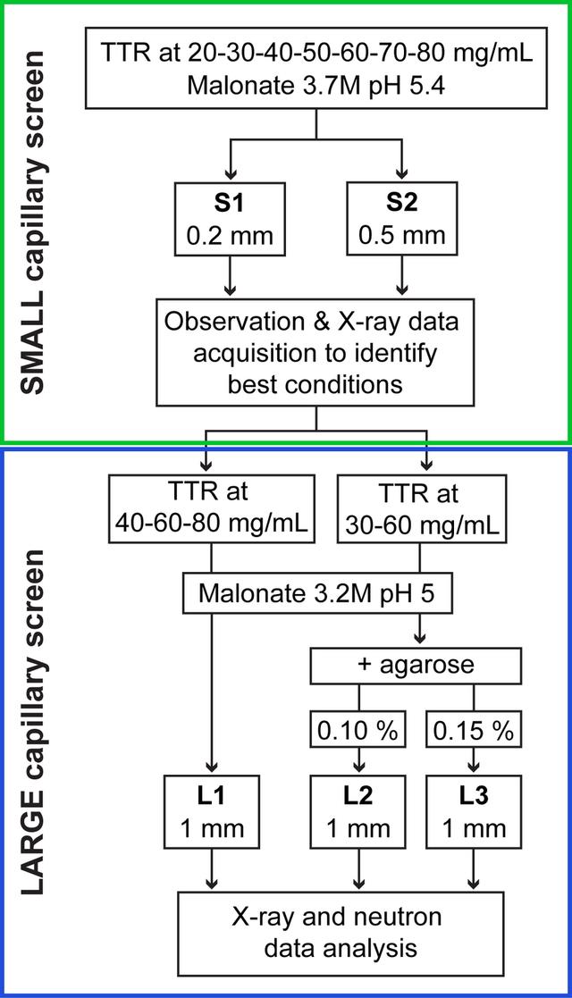 [Figure 1]