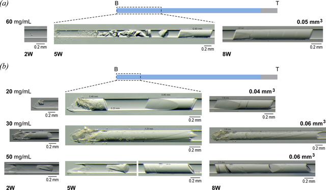 [Figure 2]