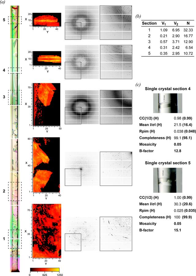 [Figure 6]