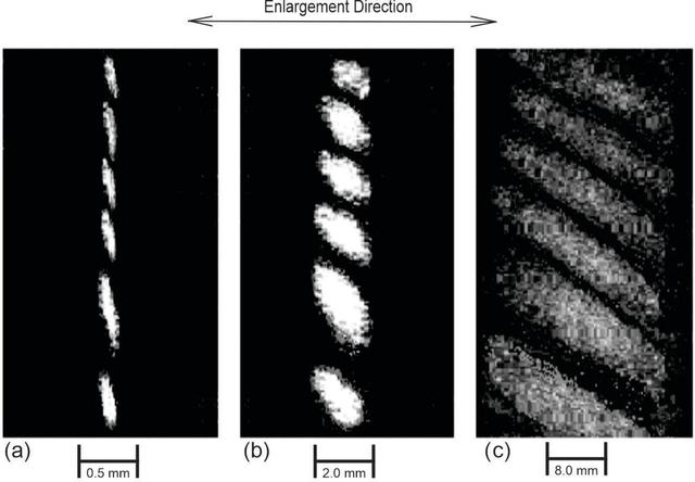 [Figure 4]