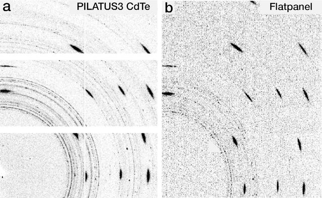 [Figure 1]