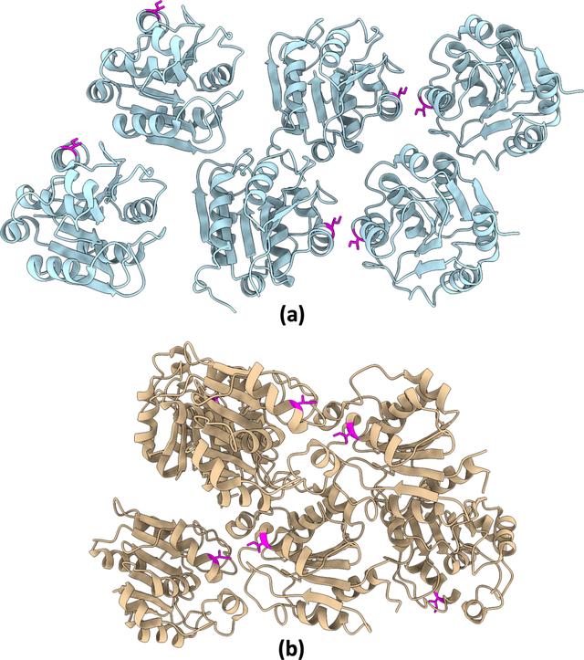 [Figure 4]