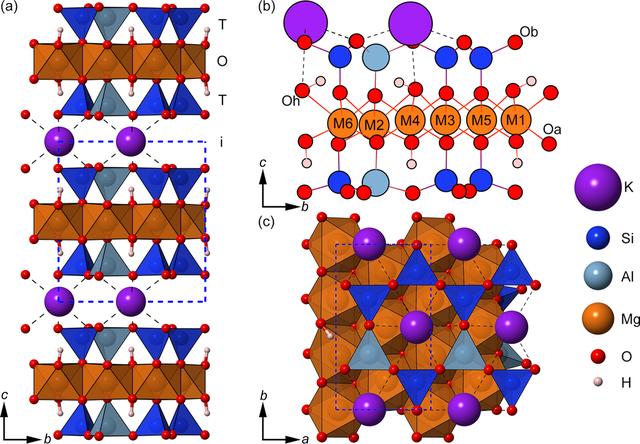 [Figure 1]