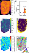 [Figure 2]