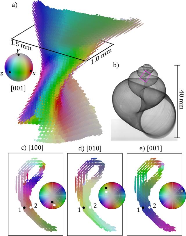 [Figure 4]