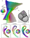 [Figure 4]