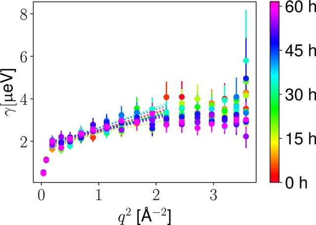 [Figure 6]