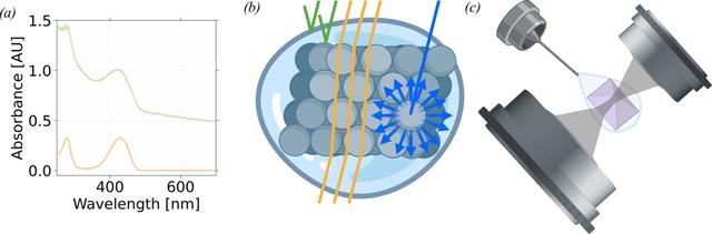 [Figure 1]