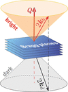 [Figure 1]