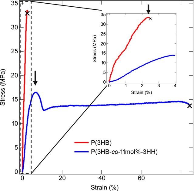 [Figure 1]