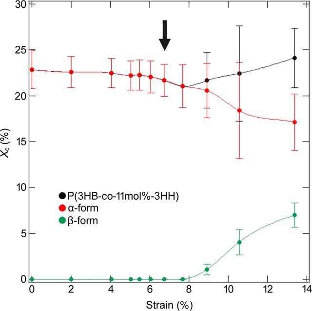 [Figure 12]