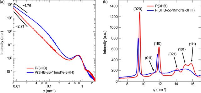 [Figure 2]