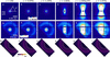 [Figure 3]