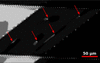 [Figure 3]