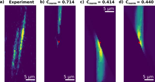 [Figure 6]