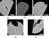 [Figure 4]