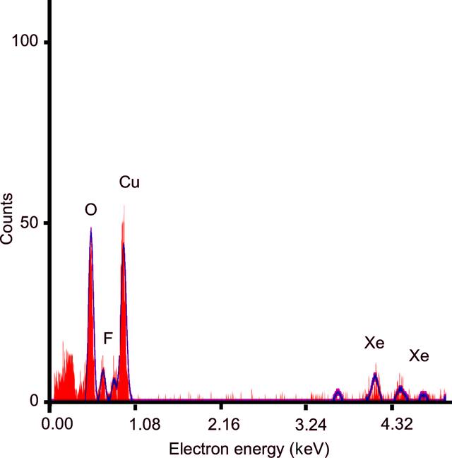 [Figure 5]