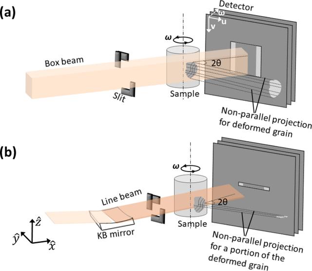 [Figure 1]