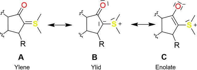 [Figure 2]
