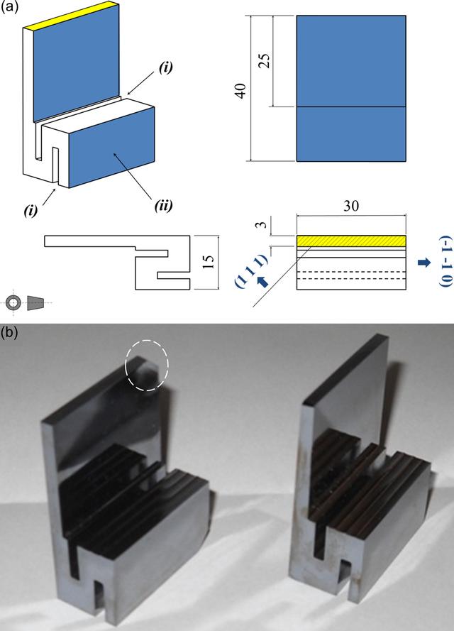 [Figure 3]