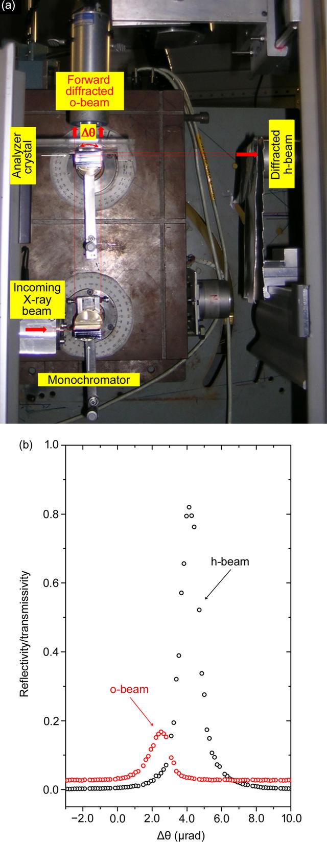 [Figure 4]