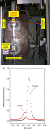 [Figure 4]