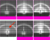 [Figure 13]