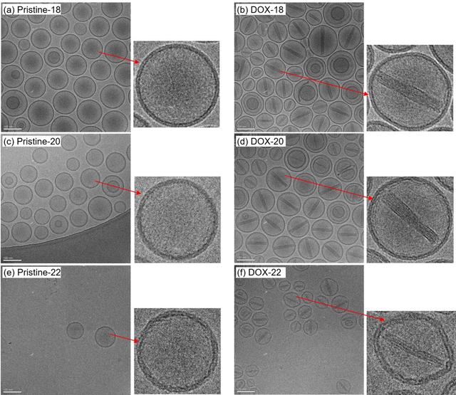 [Figure 2]