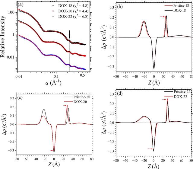 [Figure 5]